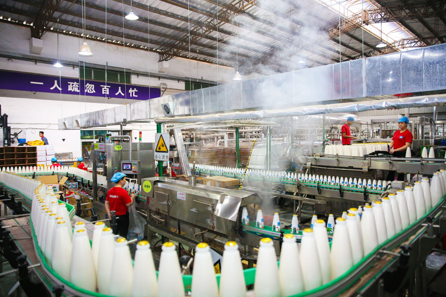 清藍椰汁生產廠家 清藍椰汁生產廠家