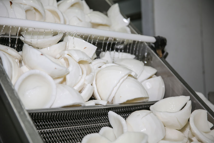 清藍(lán)椰汁 清藍(lán)椰汁