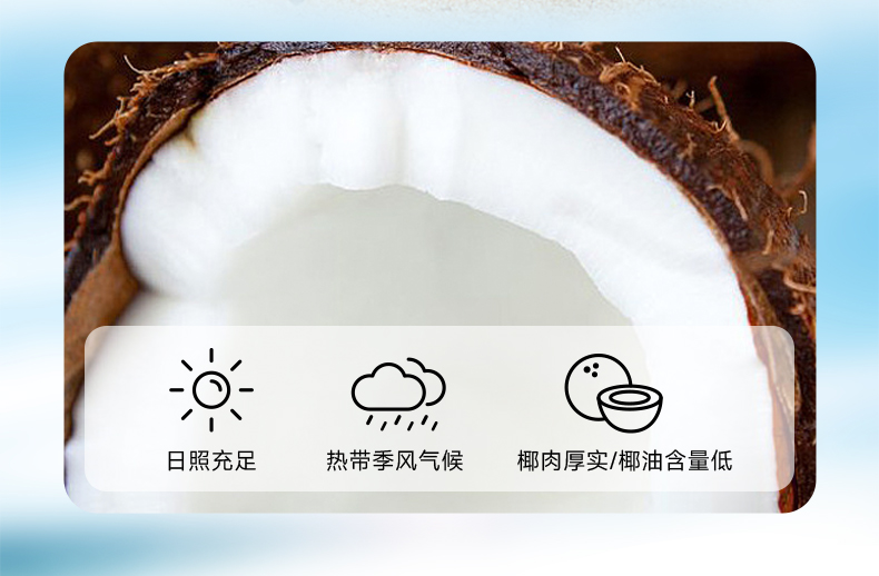 1700813189900986.jpg 生椰牛乳_08.jpg