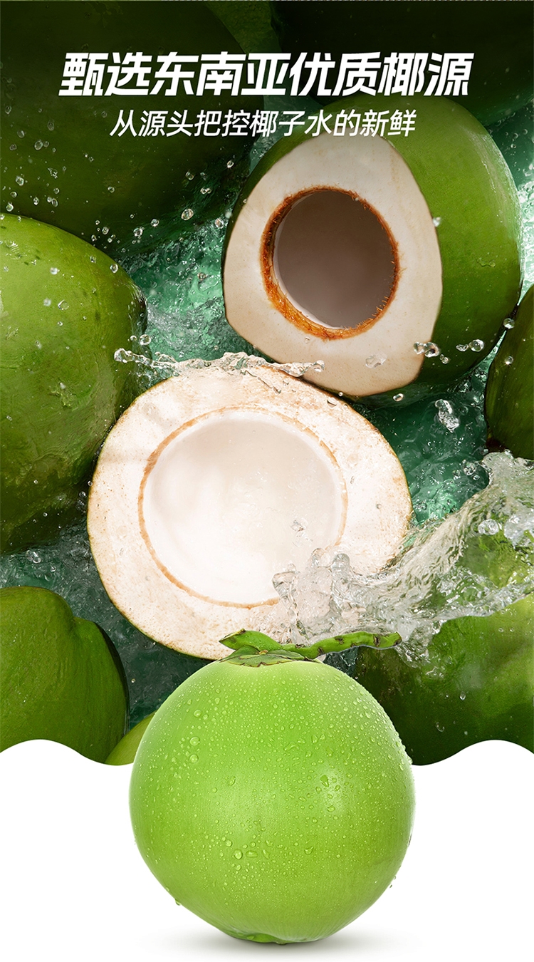 1718076010769382.jpg 100%椰子水380ml-詳情頁_08.jpg