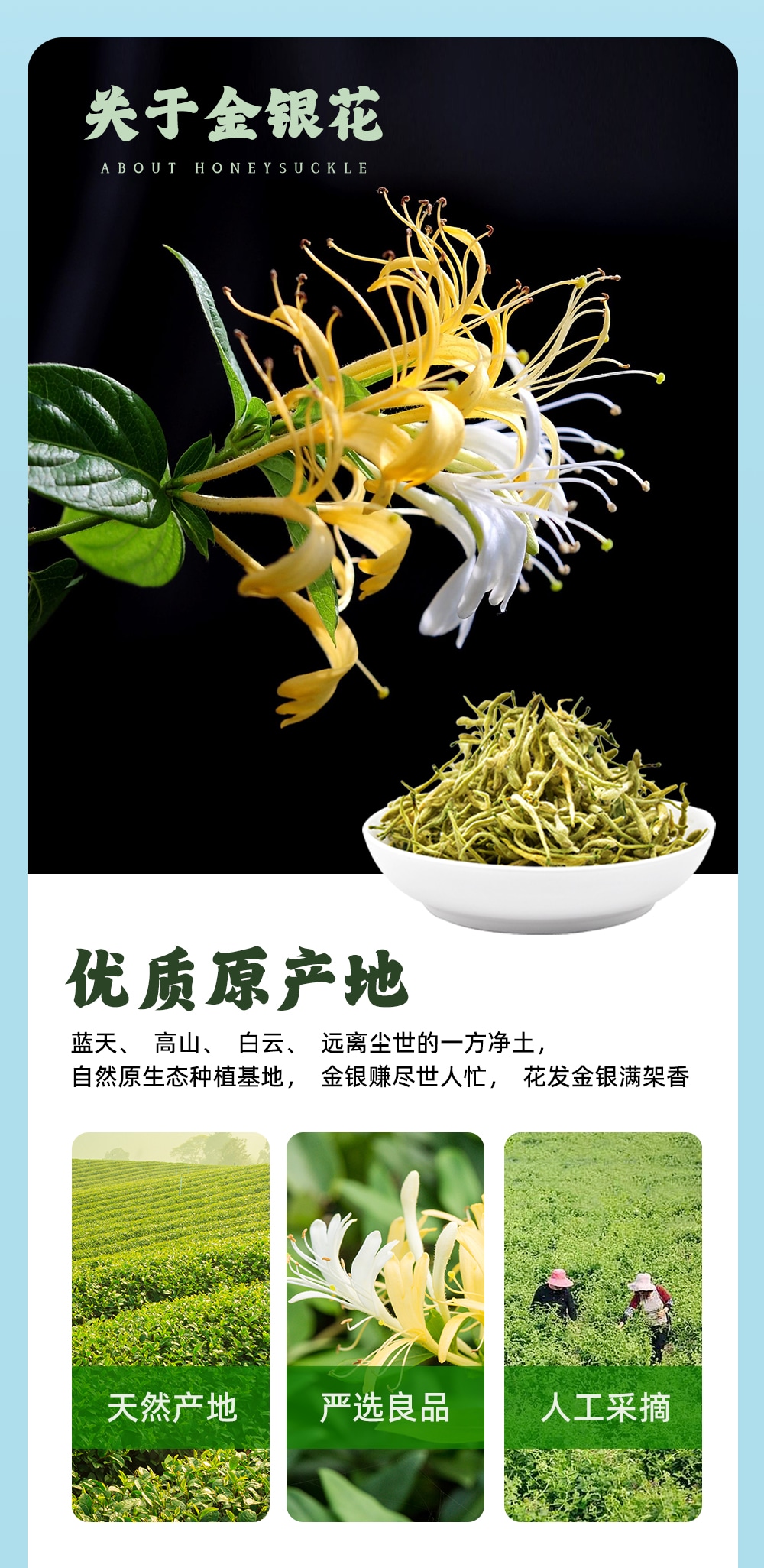 1720429108145779.jpg 金銀花露410ml-詳情頁(yè)_06.jpg