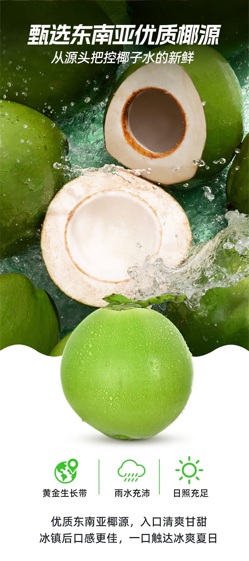 1724744333783702.jpg 1.25L清藍(lán)100%椰子水詳情頁切片_07.jpg