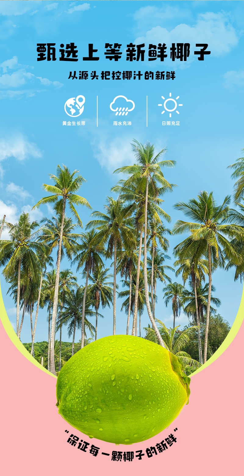 1748488568703008.jpg 生椰啵啵380ml-詳情頁_06.jpg